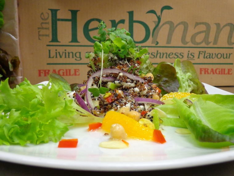 living-herbs-from-the-herbman-and-lettuce-from-verlinden-farms-of-norfolk-county
